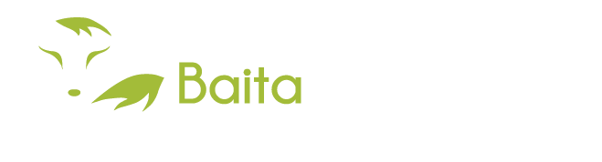 Logo Baita